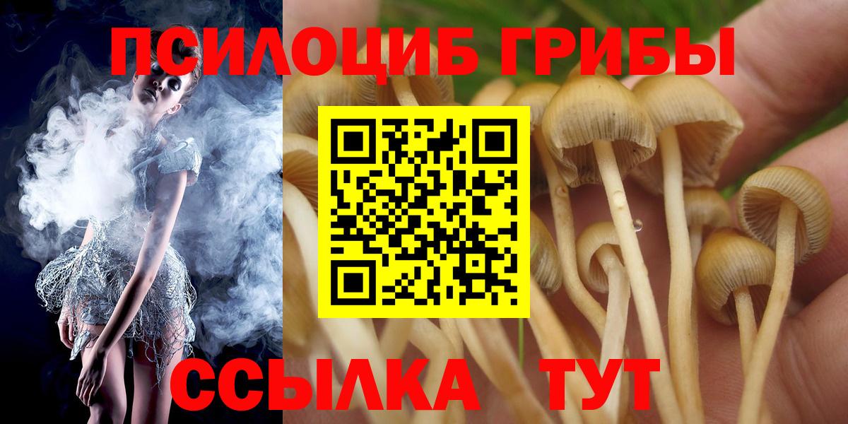 Псилоцибиновые грибы Cubensis  Галлюциногенные грибы прущие грибы  Вход с VPN  Абакан 